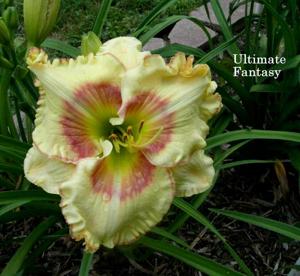 Ultimate Fantasy (Abajian, 2004)